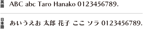Aタイプ